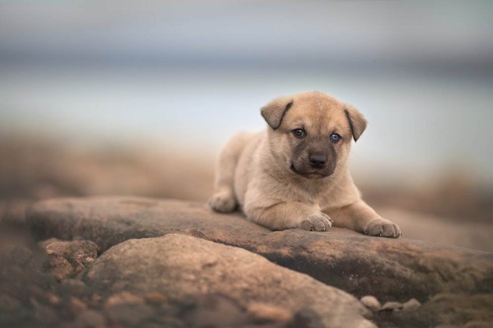 Photograph by Arma Gray