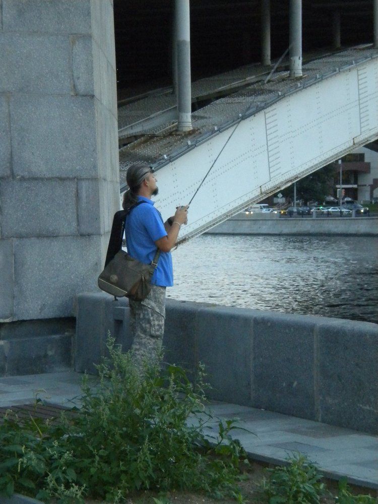 Photo #2507150