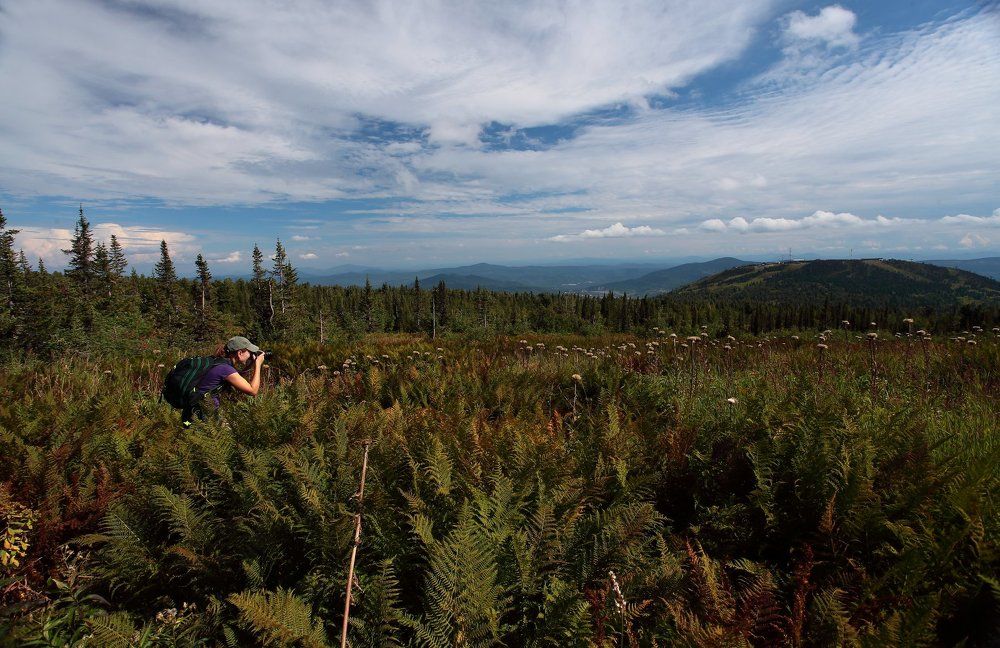 идет охота за суперфото
