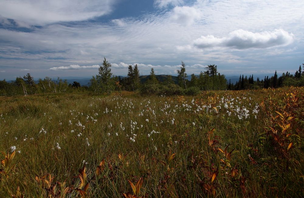 Photograph by Александр Полюдов
