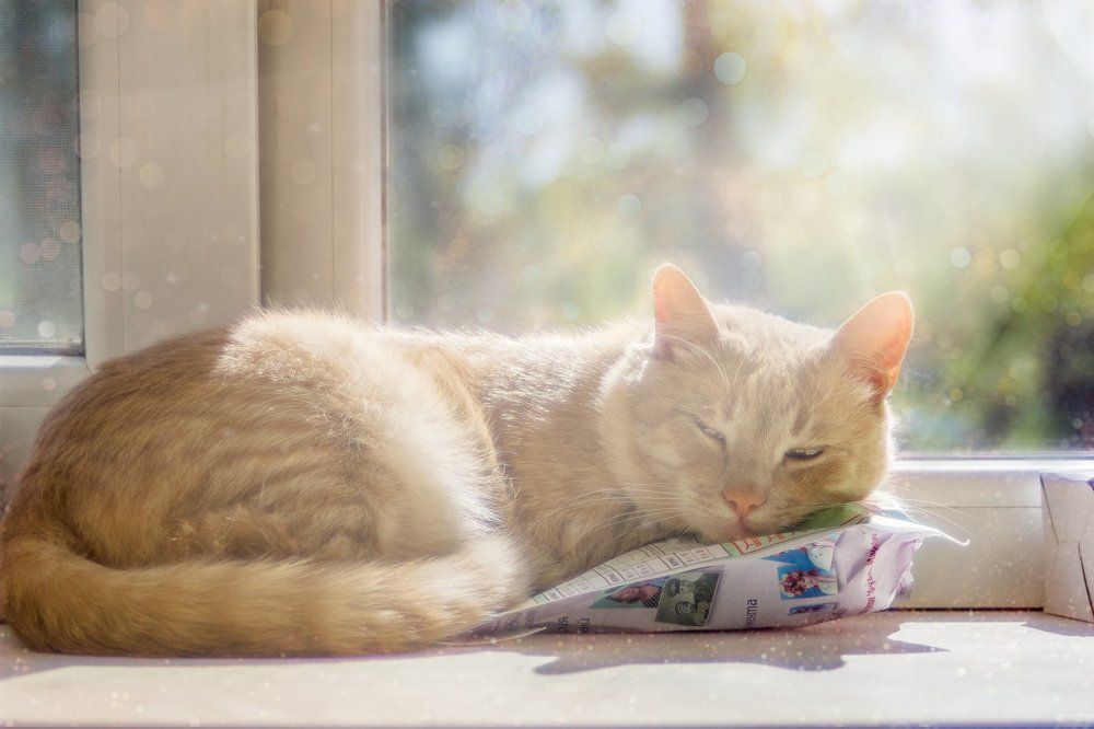 Хранитель фотоплёнки)))