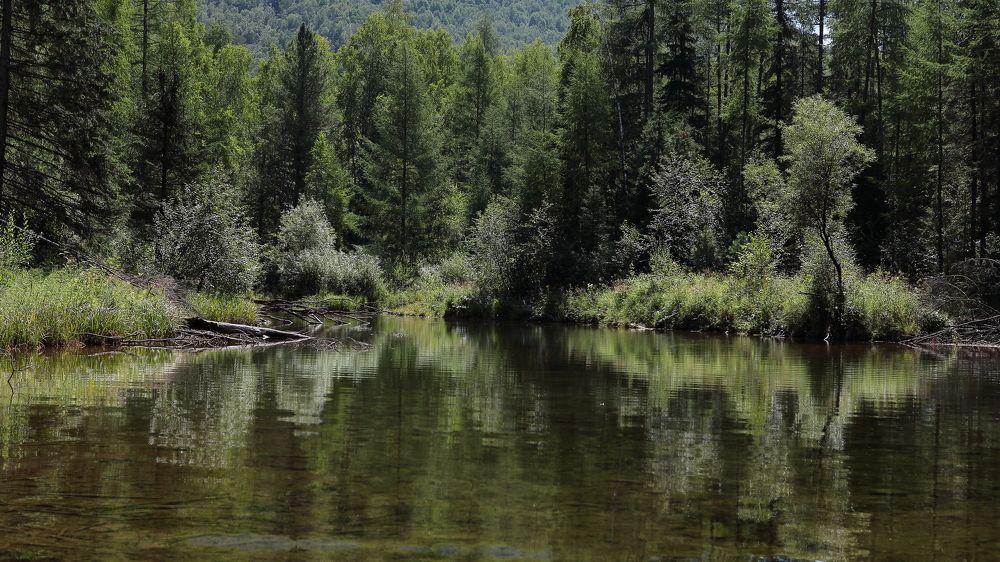 Photograph by Александр Полюдов