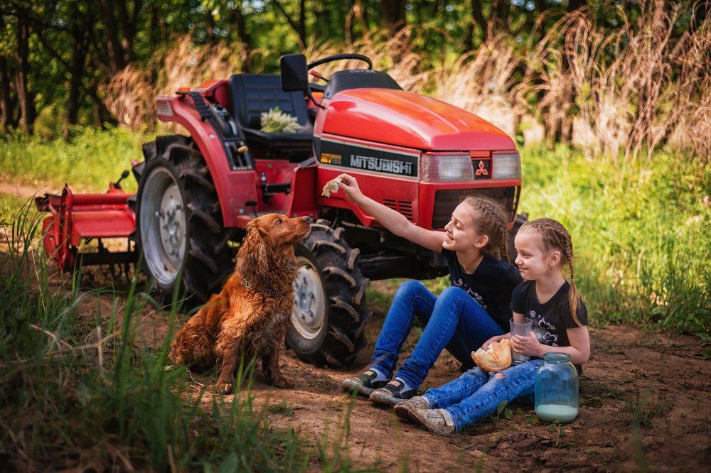 Стич и девчонки