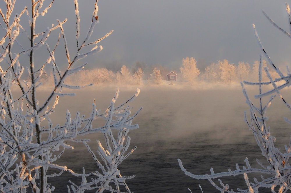 Дачный летний  домик на острове