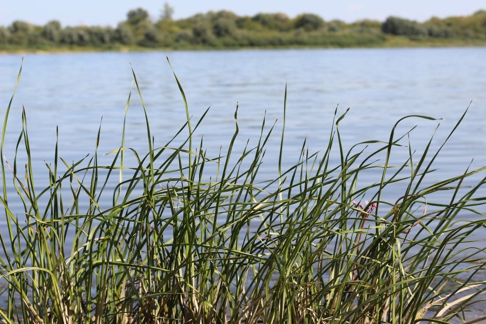 У реки днём