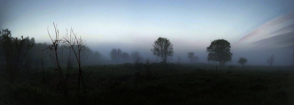Photo #2507572