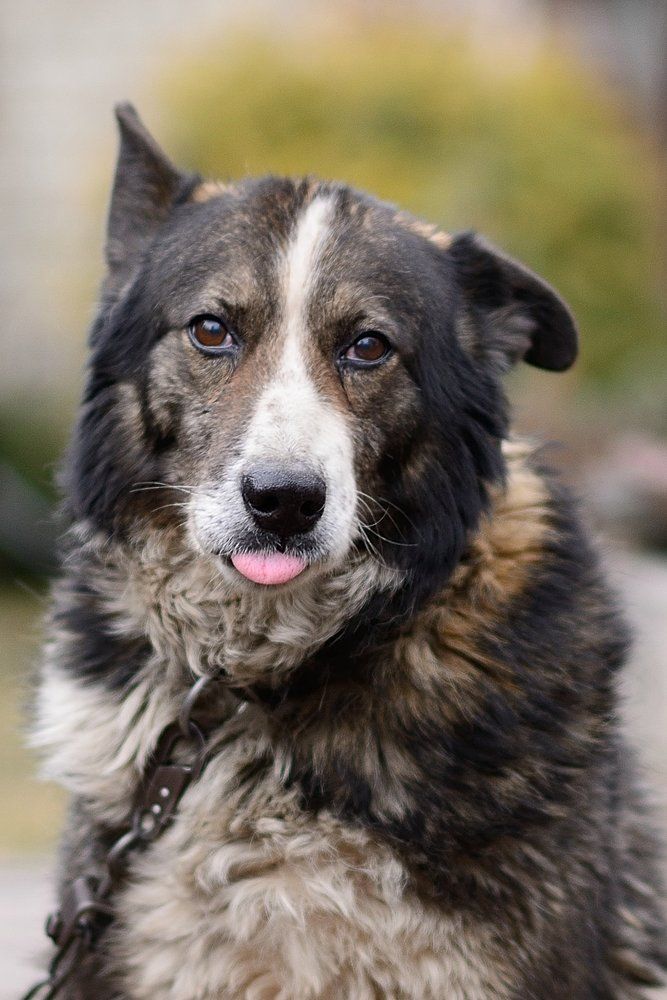 Photograph by Владимир Малевич