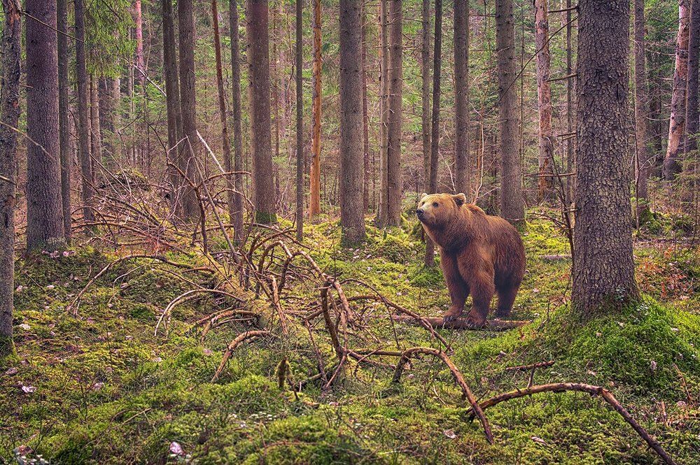 Photograph by Julija JKv