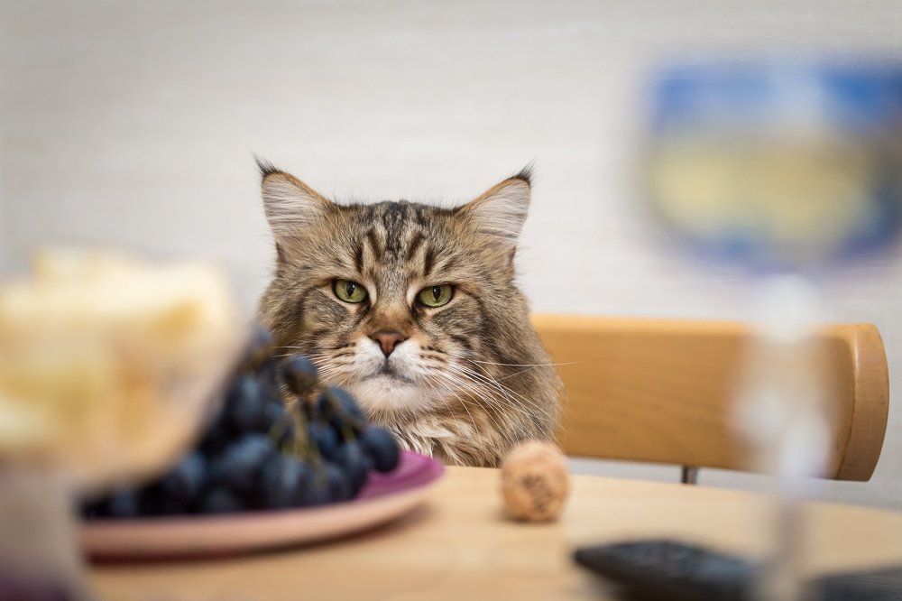 День рождения - грустный праздник