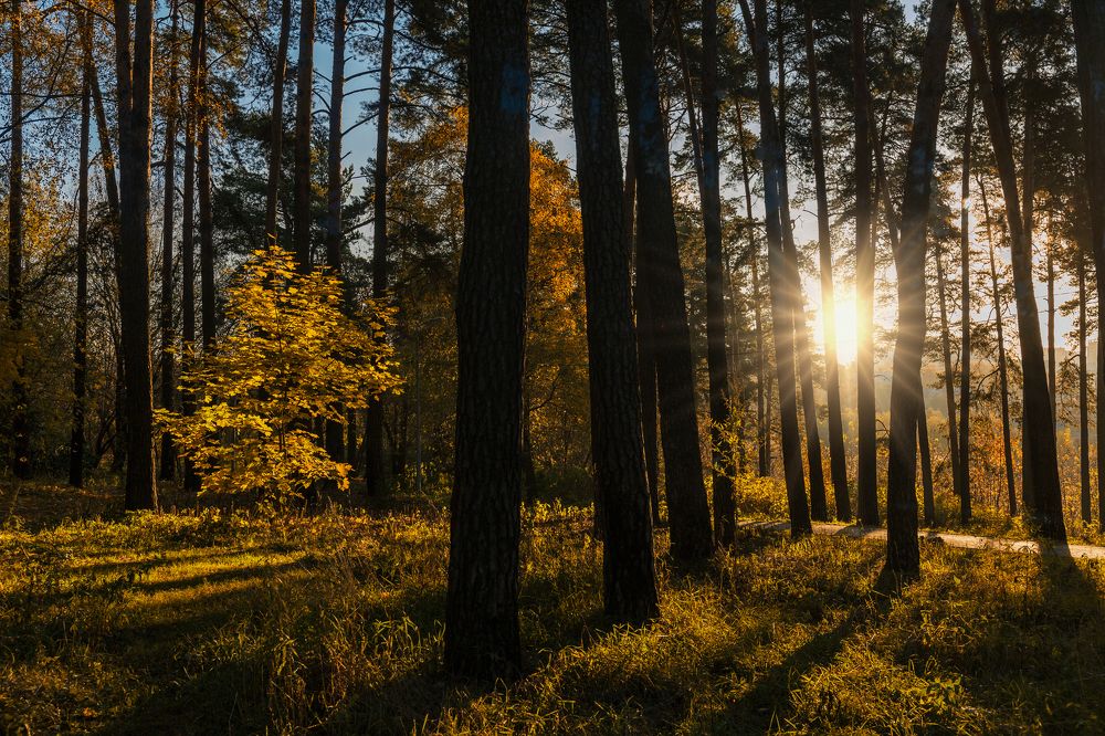 Photograph by Сергей