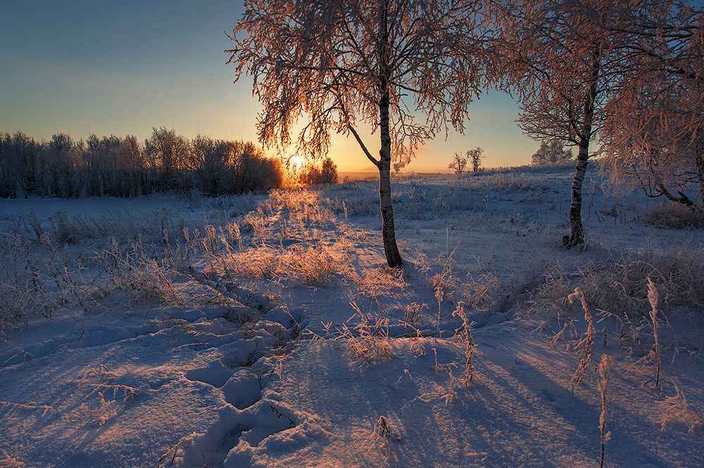 Photograph by Илья Лисаускас