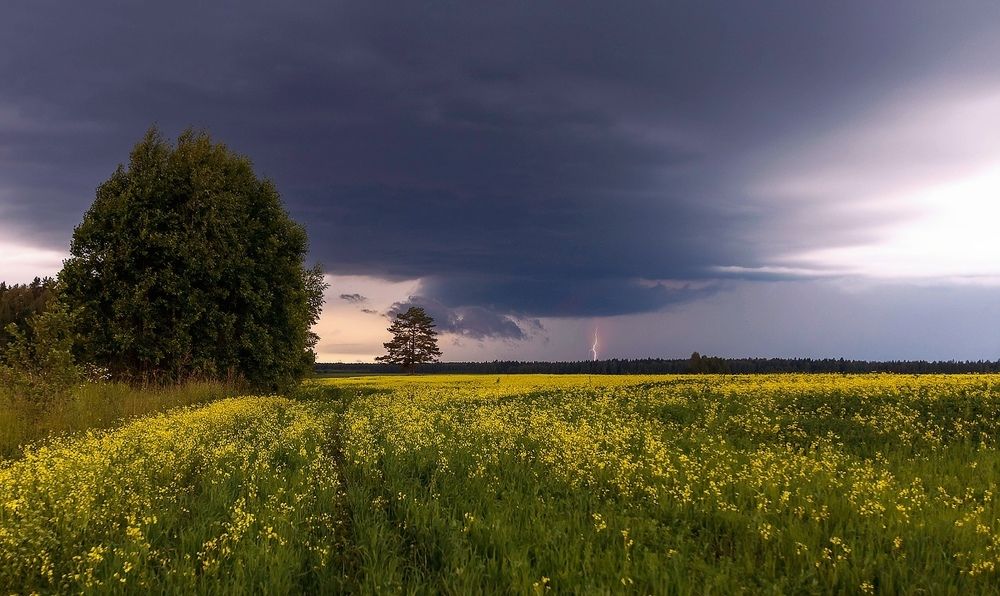 Гроза надвигается