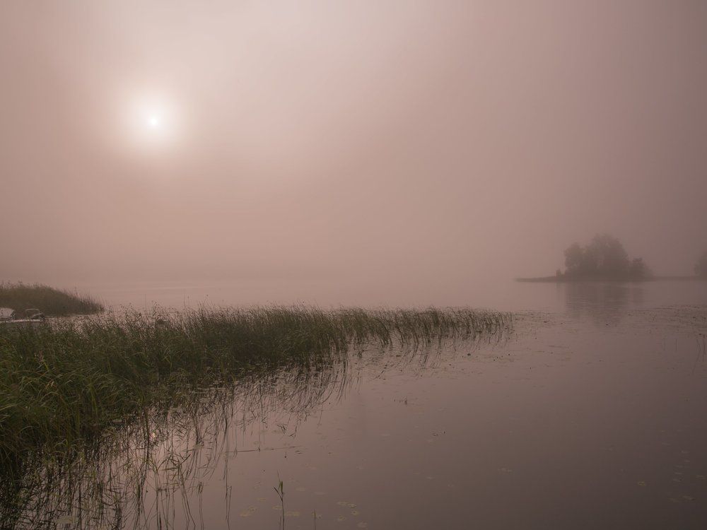 "Был туман с утра рассеян: Где присел, а где висел он..." Лило