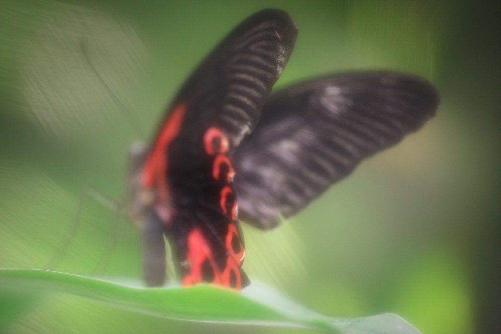 Photograph by Vasily Prokhorov