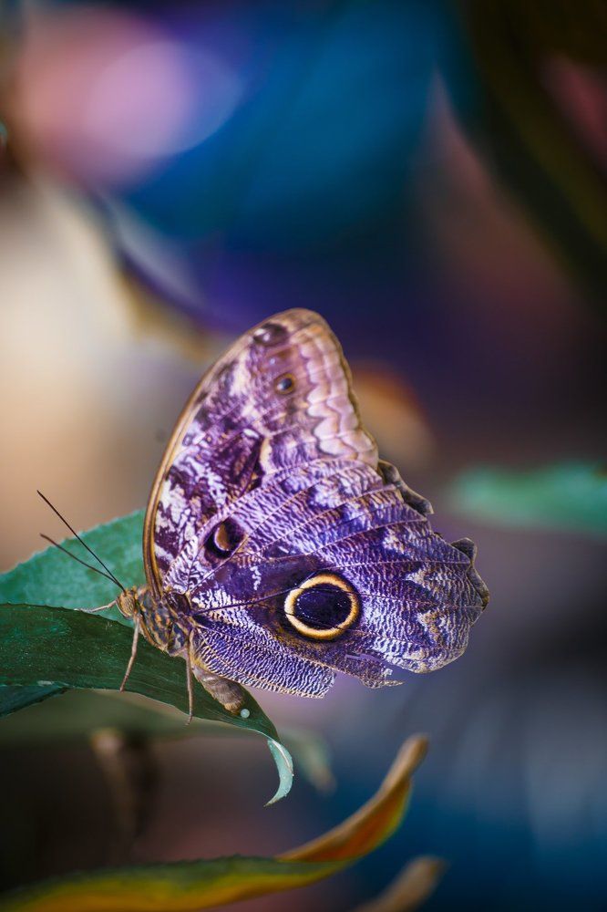 Photograph by Vasily Prokhorov