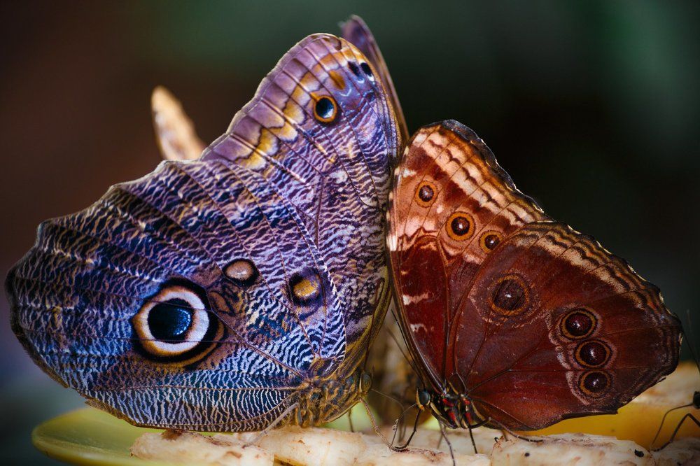 Photograph by Vasily Prokhorov