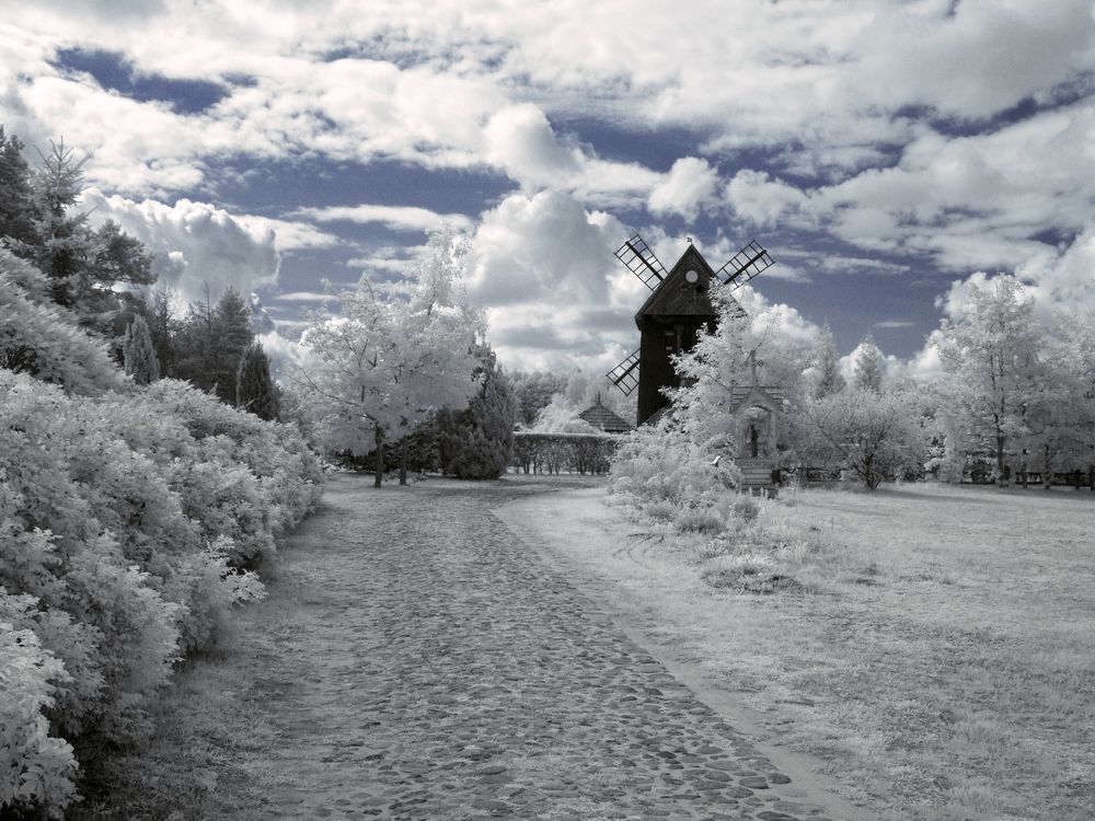 walking on the infrared