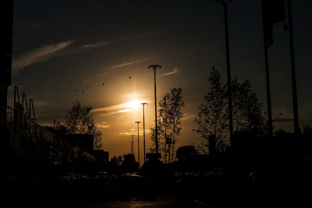 На город опускается вечер.