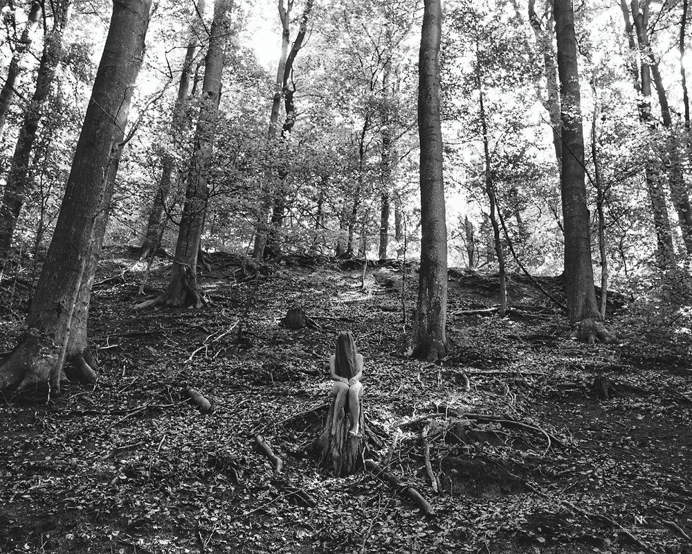 Photograph by Krzysztof Niewiadomski