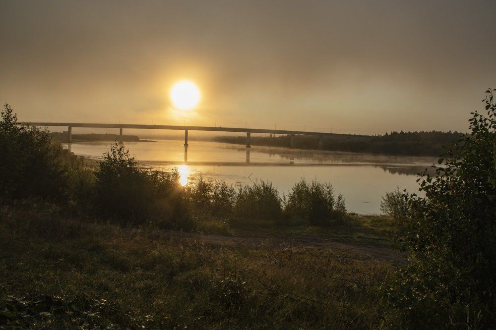 зорька утренняя