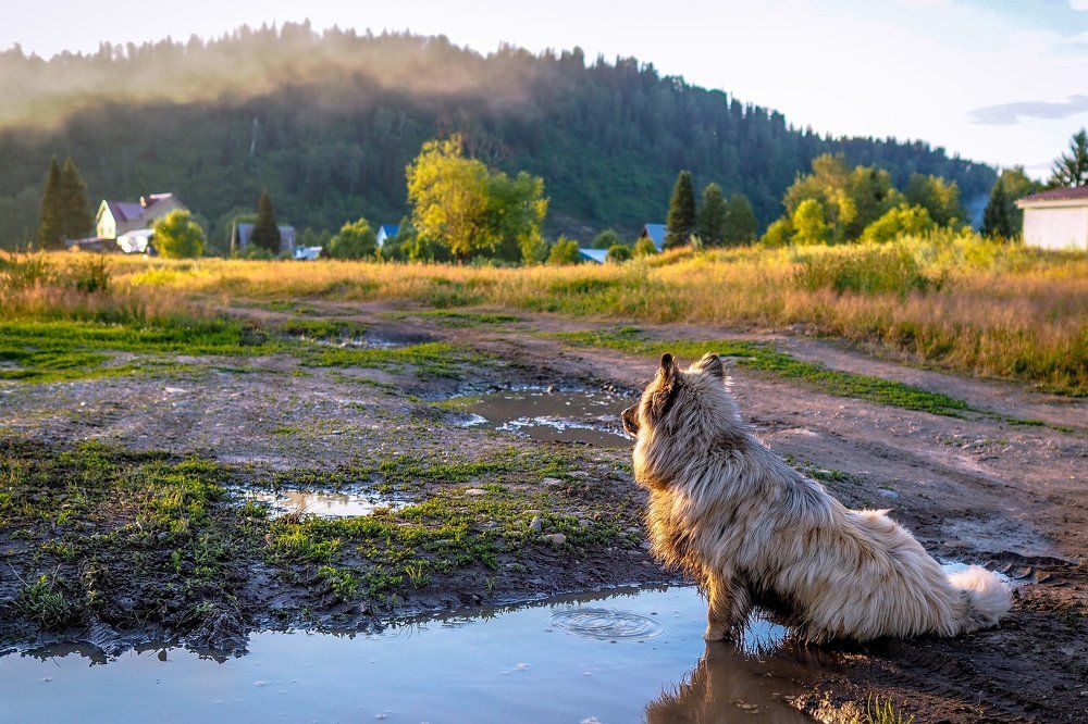 Photograph by Надежда Рачева