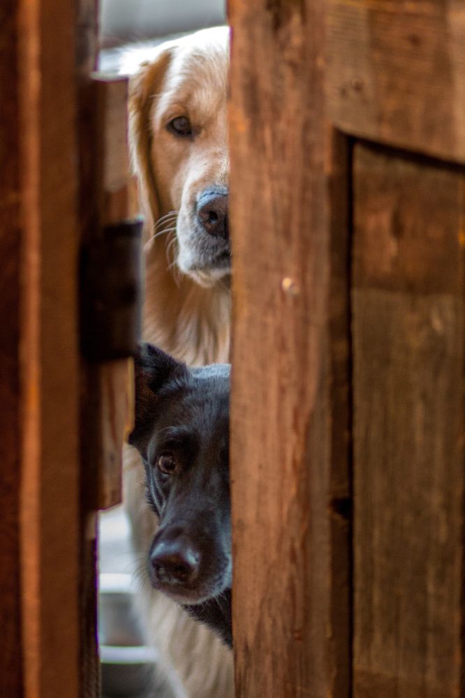 Мы следим за вами !
