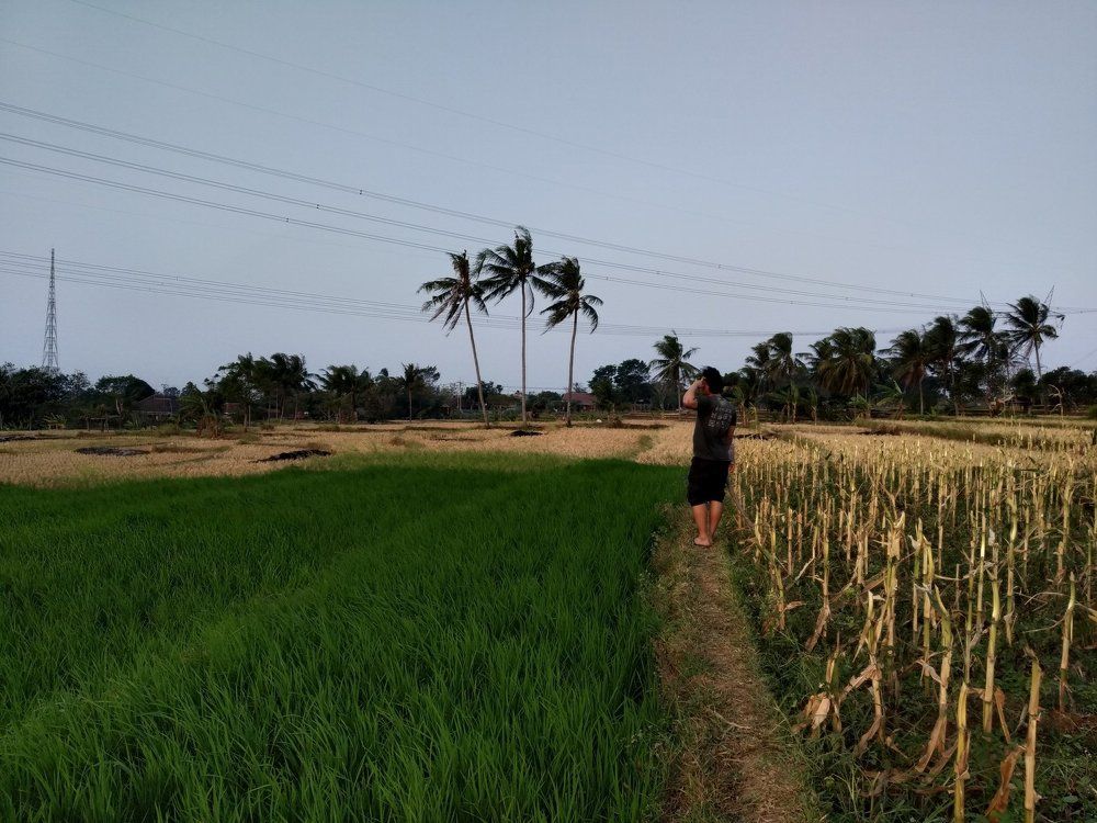 Take a walk at dusk