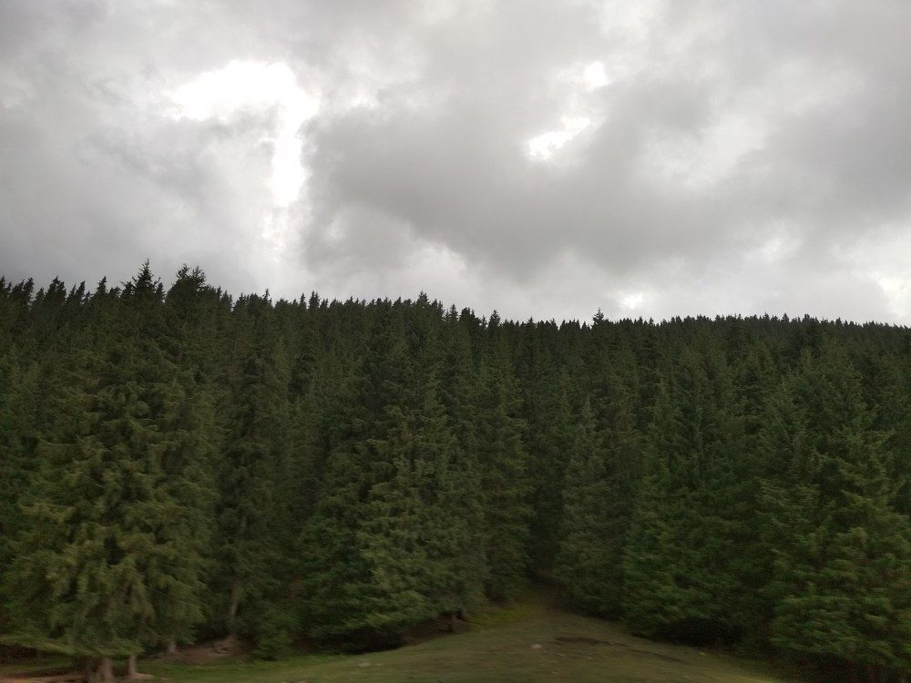 Nature