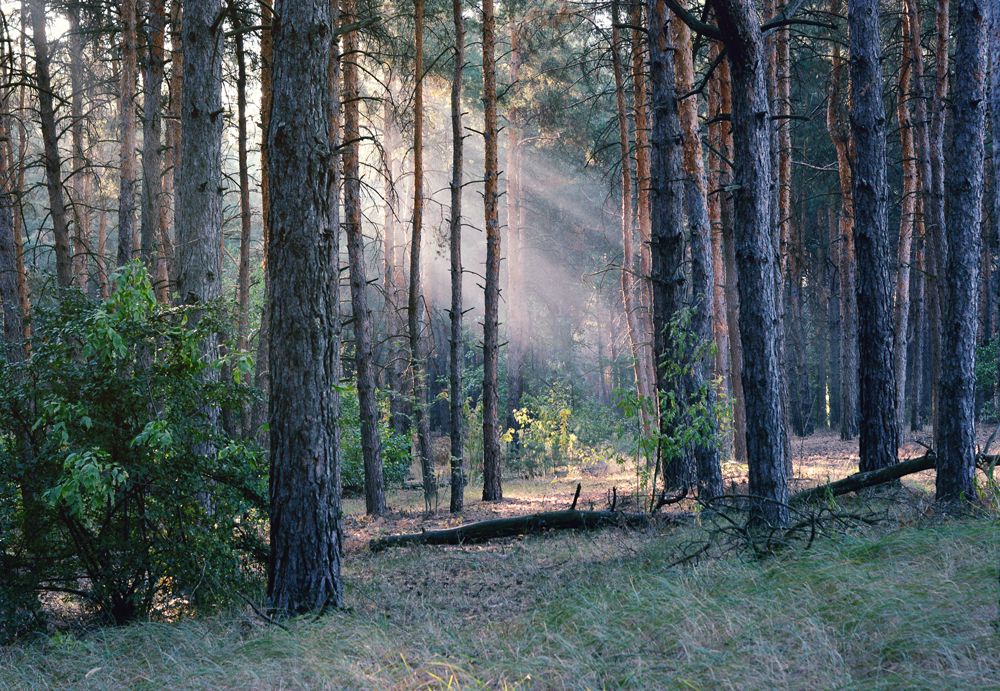Утро первого дня осени