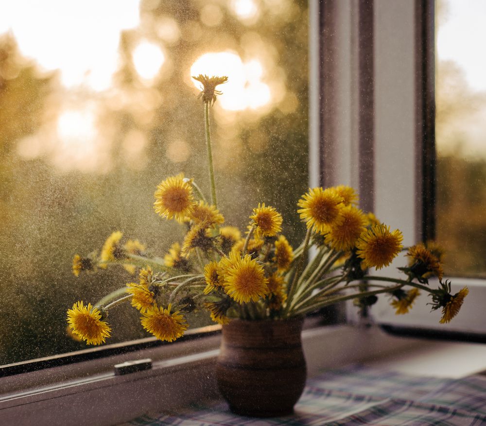 Солнечный цветок