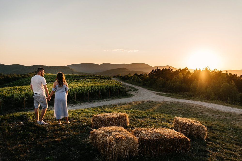 Закат на винограднках