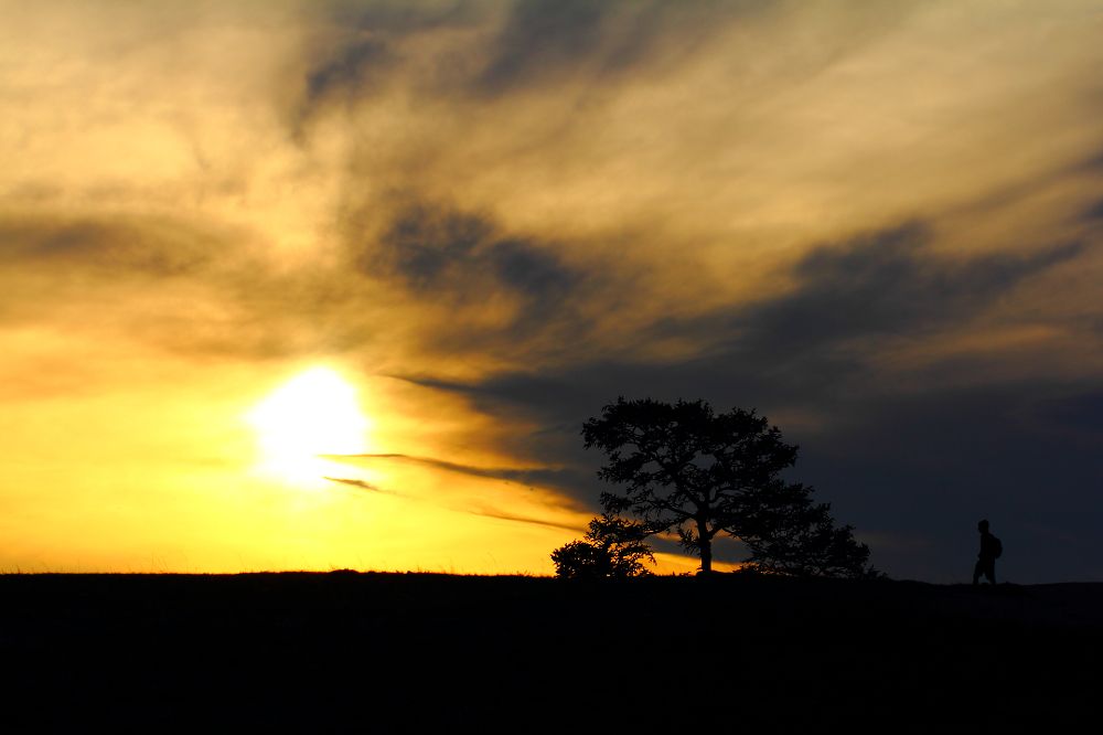 Возвращение...