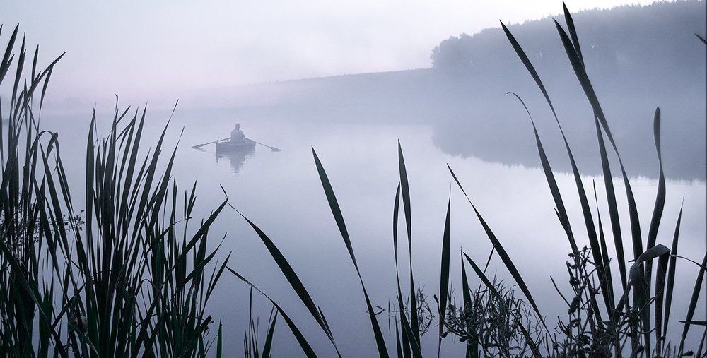 foggy morning