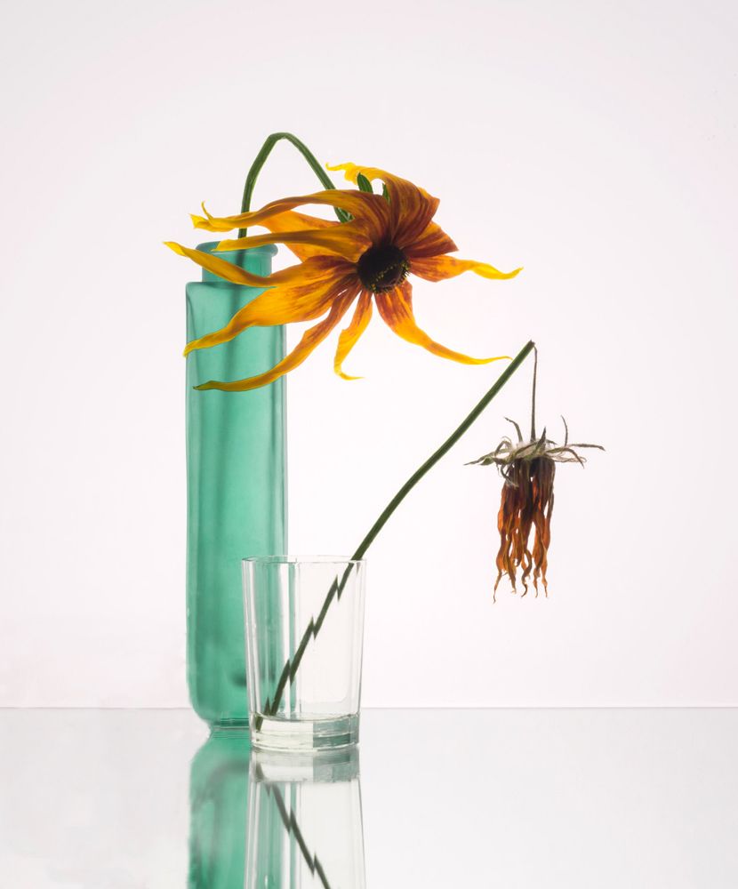 Печальная история