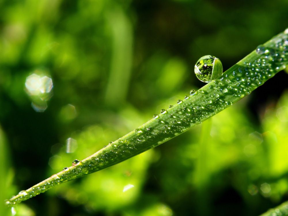 "Счастье -как божья роса"