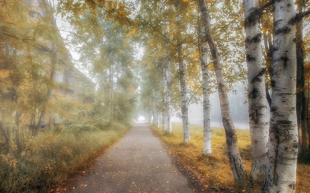 Вот и осень