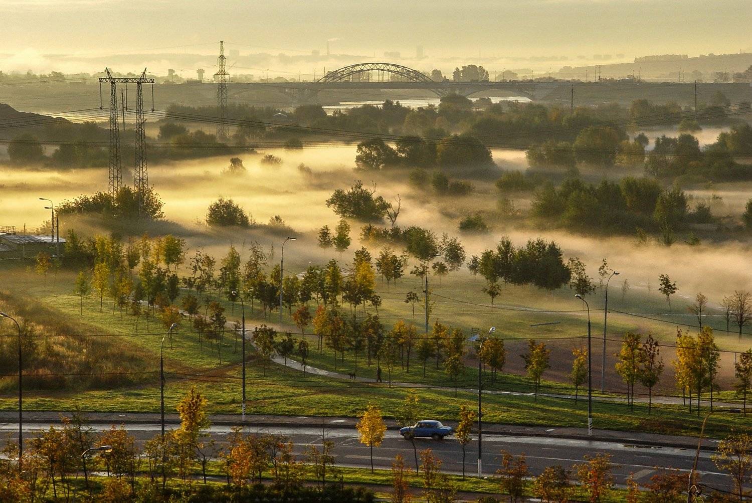 Пригород в тумане