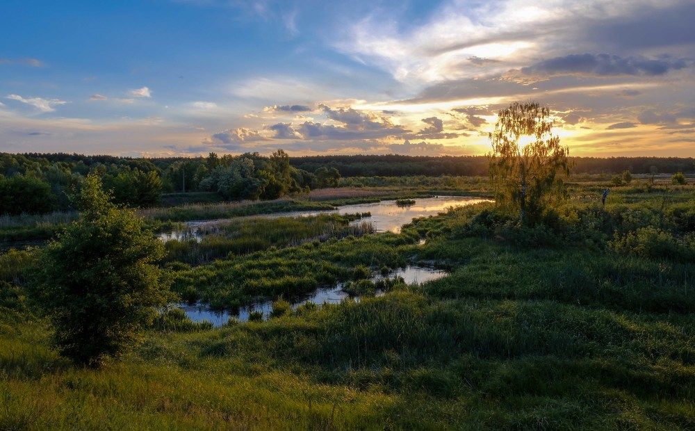 На вечерней зорьке.