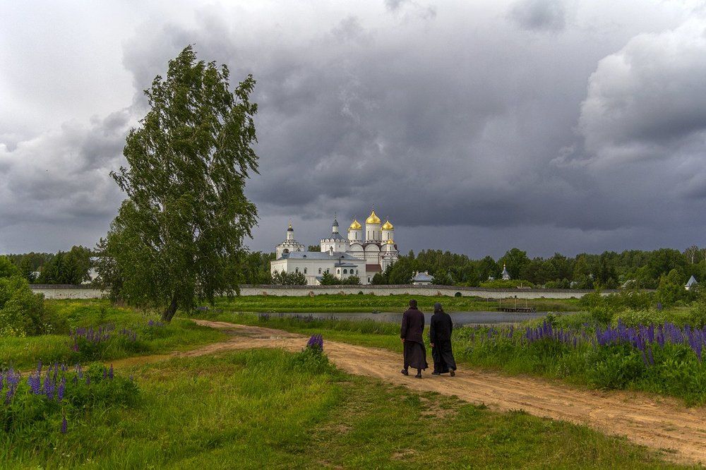 Перед грозой