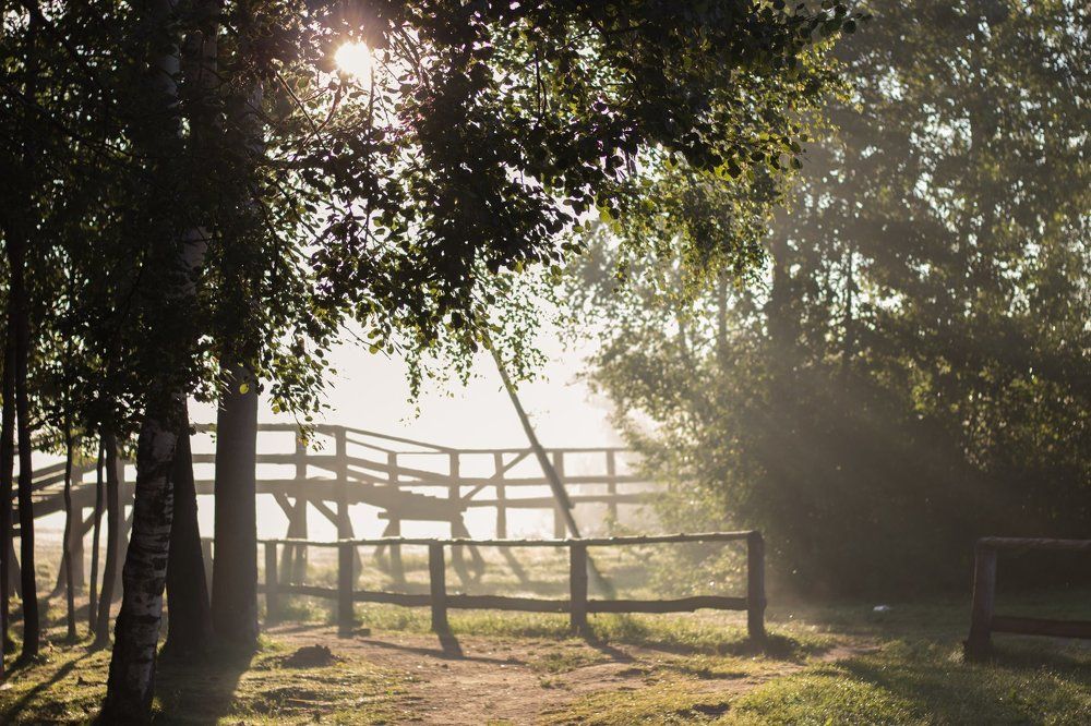 Photograph by Екатерина Мартынова