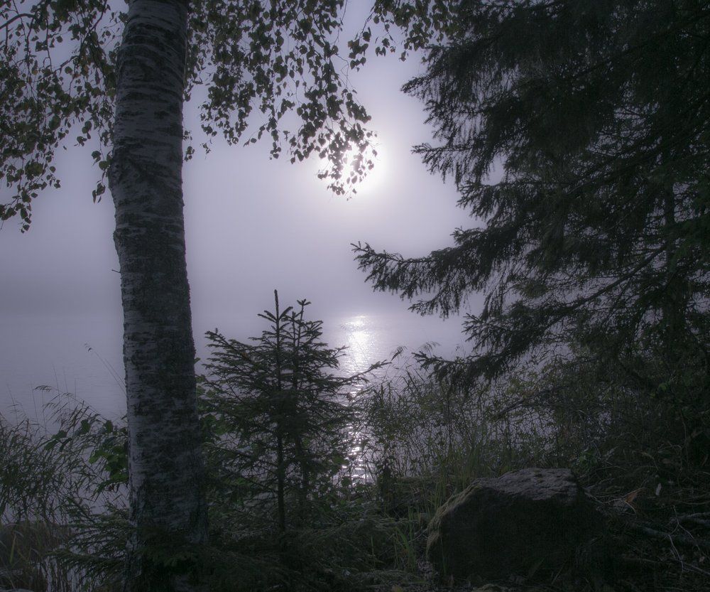 Куда ни посмотрю-вижу любимую мордочку:)