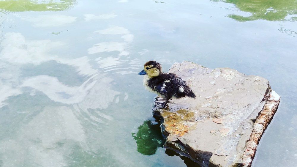 Time to go by myself