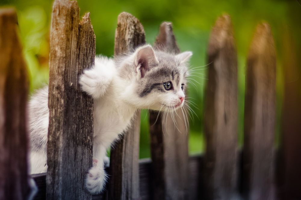 Опасный момент... Удар... Гол!!!