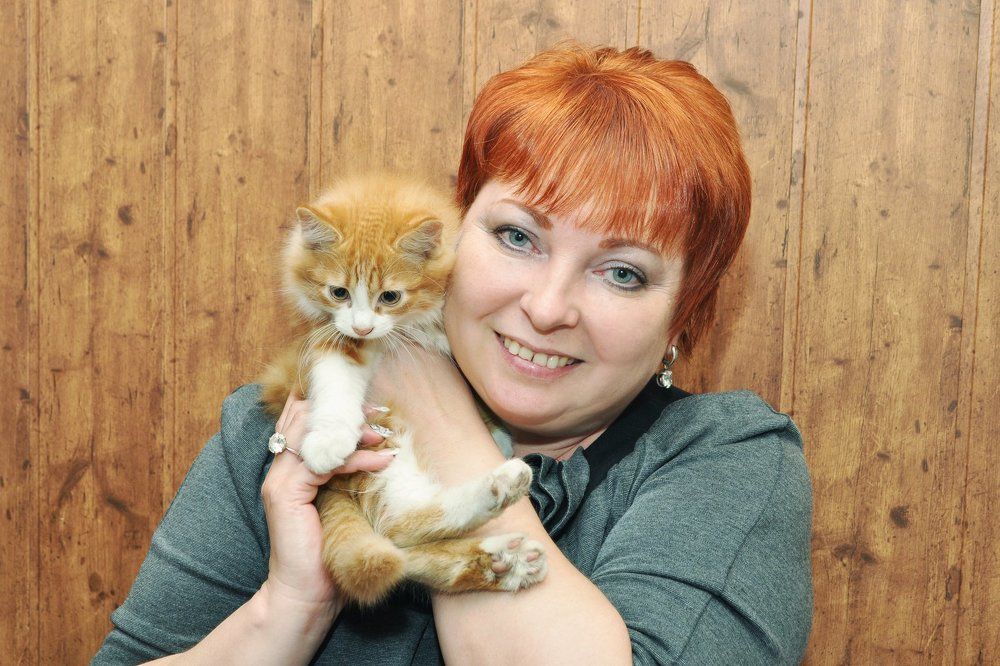 А мы Рыжие !