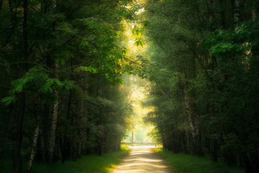 The light at the end of the road