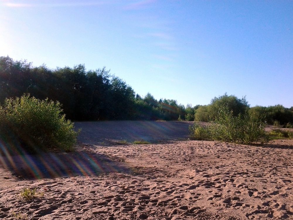 Пляж в Коми