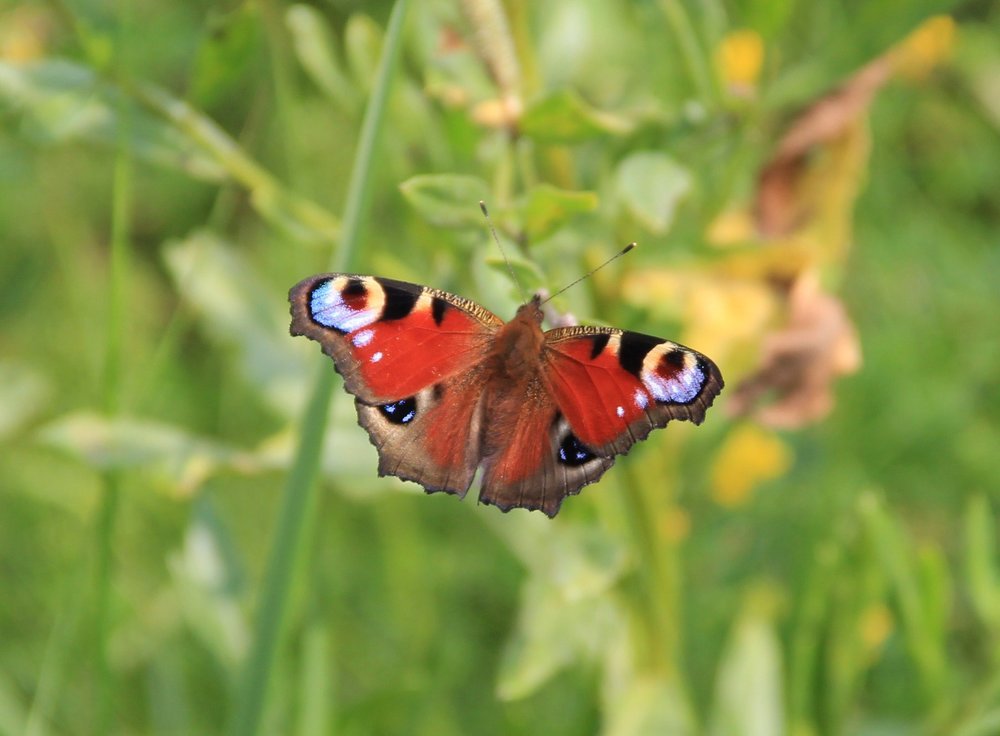 Photograph by Суетинов Евгений