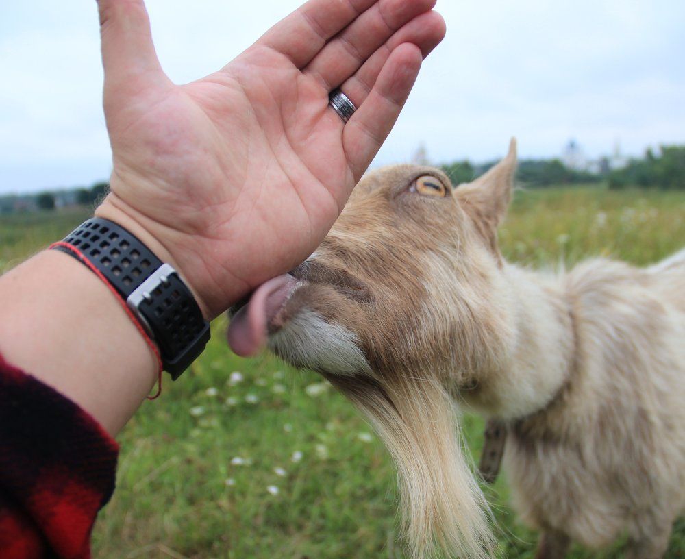 Photograph by Суетинов Евгений