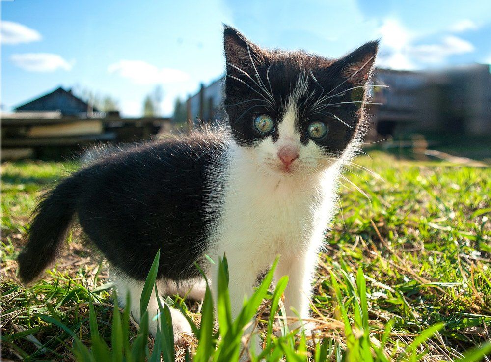 Увидел Мир.