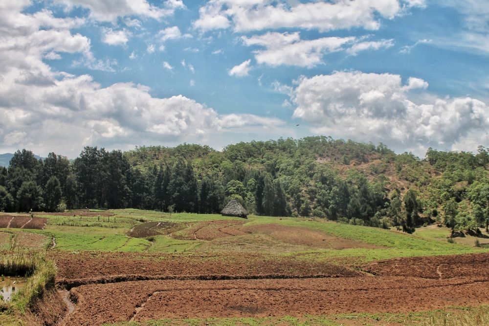 The beauty from the East